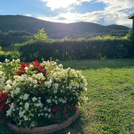 Villa Del Sole ซานจีมิญญาโน ภายนอก รูปภาพ