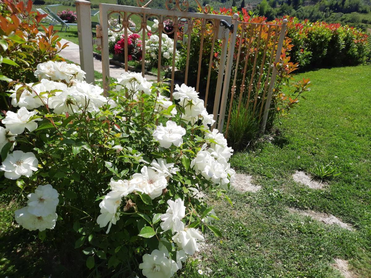 Villa Del Sole ซานจีมิญญาโน ภายนอก รูปภาพ